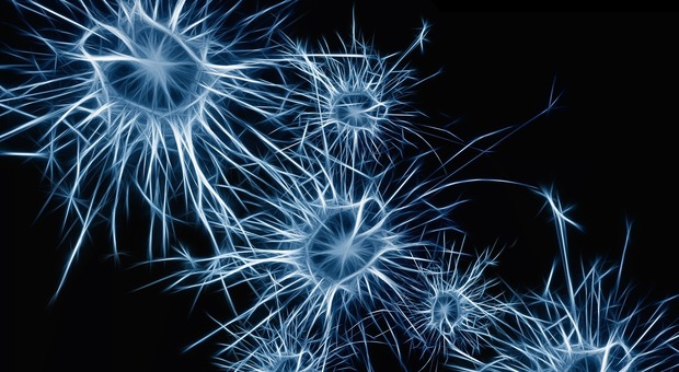 Mal di testa quando si è sensibili alla luce: la "colpa" è dei neuroni troppo sincronizzati