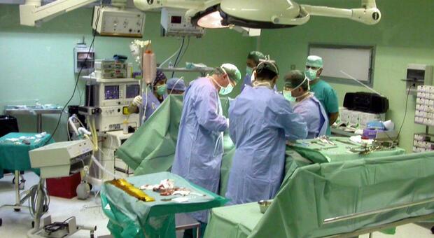 Muore una 54enne: donazione multiorgano all'ospedale di Barletta
