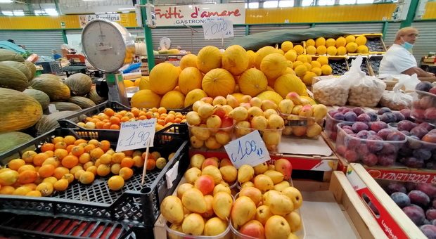 Caro prezzi, l'allarme di Coldiretti sulla verdura: aumenti quasi del 17 per cento