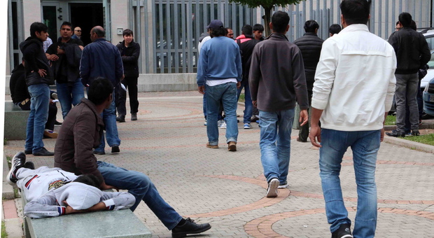 Migranti con lo stipendio da 1.500 euro al mese e intascavano pure gli aiuti di Stato