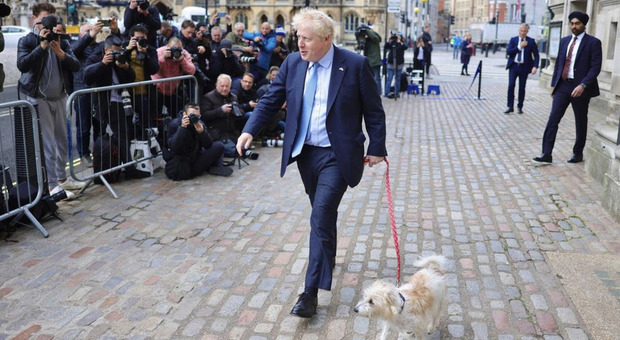 Alle elezioni in Inghilterra, Scozia e Galles sono stati visti i candidati con i propri cani