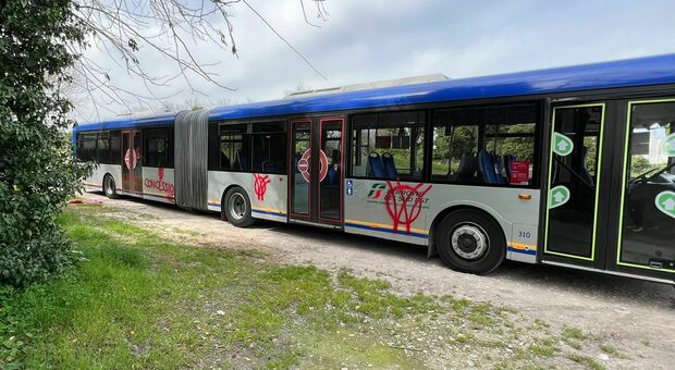 Otranto, scritte no vax sui bus delle Ferrovie Sud Est: sette i mezzi imbrattati con vernice rossa