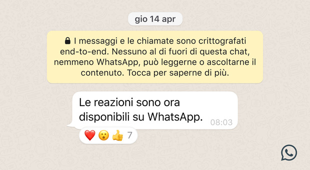 Reactions WhatsApp, come si mandano? La guida: pollici e faccine arrivano sull'app di messaggistica