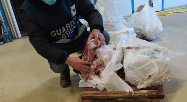 Capodanno senza pesce in tavola: sequestro da 40 tonnellate. Il prodotto ittico era senza etichetta: multe per 124mila euro