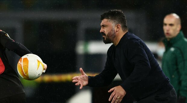 Napoli, Gattuso insegue la prima vittoria al "Maradona" contro la Sampdoria: Politano titolare