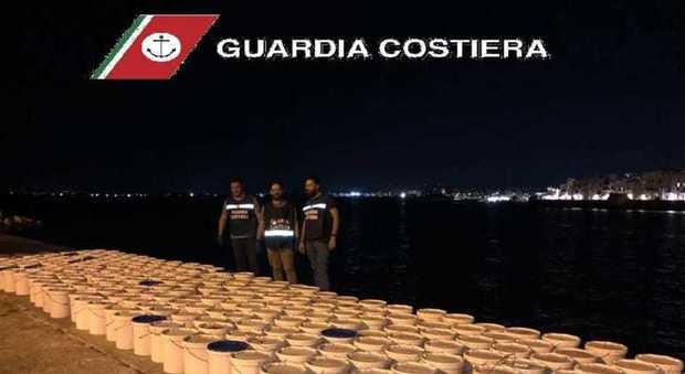 Guardia costiera in azione: maxi sequestro di cetrioli di mare