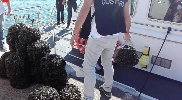 Un sequestro di cozze effettuato dalla Guardia costiera di Taranto