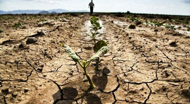 Siccità, Sos dagli agricoltori un appello: «Campagne senza acqua, servono risorse finanziarie»
