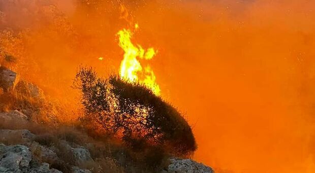 Emergenza incendi, Puglia la regione più colpita: quasi 10mila roghi in tre mesi