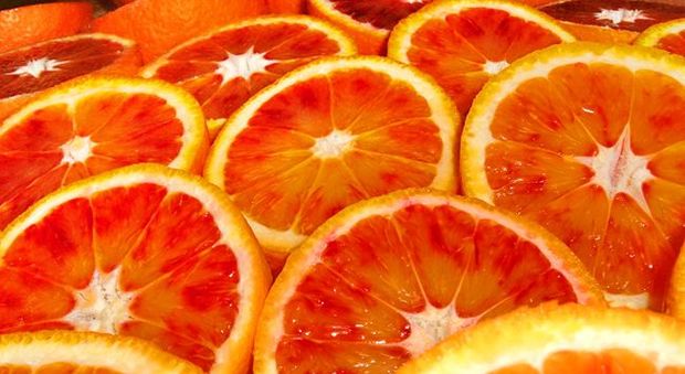 L'UE mette in ginocchio l'agricoltura italiana: colpite soprattutto le arance e l'olio