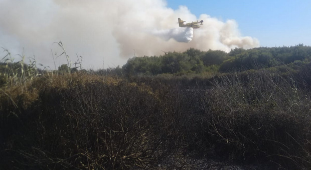 San Foca, incendio sulla costa a poca distanza dall'approdo Tap: 5 ettari di bosco in fumo
