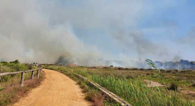 Incendio nel parco naturale di Ugento: a fuoco 10 ettari di macchia mediterranea