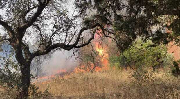 Salento, un altro vasto incendio: fiamme nelle campagne di Tricase