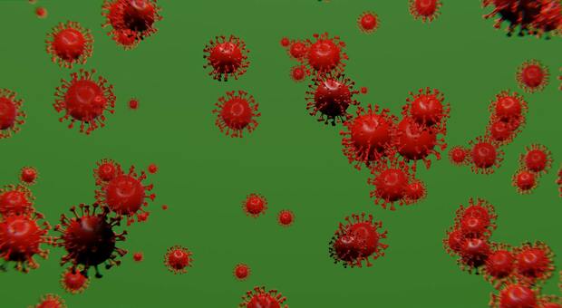 Tumori, nuovo farmaco uccide le cellule cancerogene sfruttando il sistema immunitario