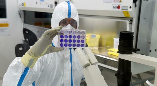 Covid, nuovo vaccino Vla2001 di Valneva: l'Europa ha firmato contratto per comprare 60 milioni di dosi