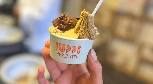 L'idea della startup pugliese: il gelato nasce dai legumi. Ed è senza lattosio e senza glutine