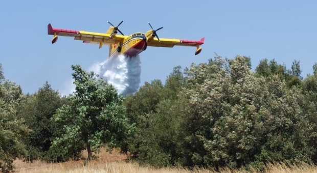 Puglia, tre grossi incendi: a fuoco riserva naturale, foresta e la macchia delle gravine