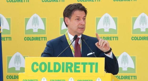Conte: «Coldiretti sia alleata governo per green new deal»