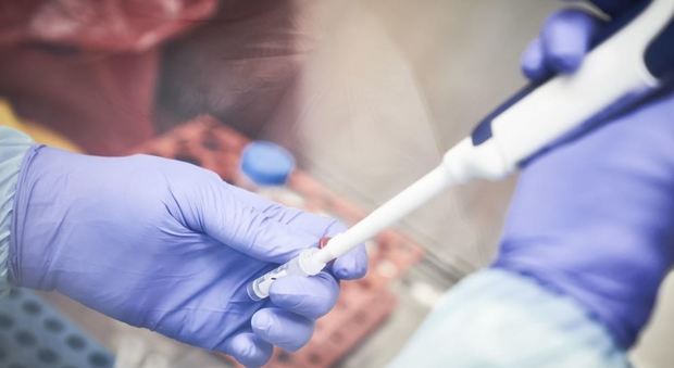 Coronavirus, il presidente Irbm di Pomezia: «Il vaccino? Già inviate a Oxford centinaia di dosi per i test»
