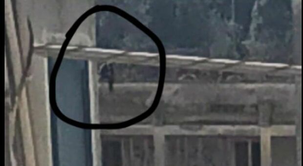 Un'immagine di un ragazzo sul tetto della ex Rsa di Presicce-Acquarica