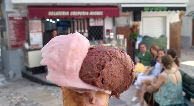 Puglia, nasce il gelato al Nero di troia: ecco dove gustare il "rosone"