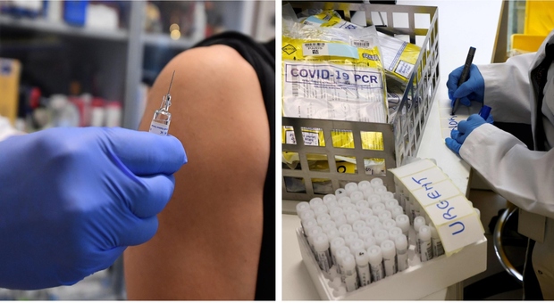 Vaccino Covid, i medici di Washington: «Trovato uno 10 volte più forte, non ha bisogno di essere congelato»