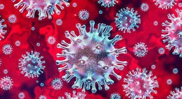 Covid, il virus nelle particelle che sfuggono alle mascherine è infettivo: lo studio dell'università di Trieste
