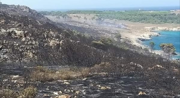 I piromani distruggono l'Orte: 100 ettari in fumo. Il paesaggio del Parco è spettrale