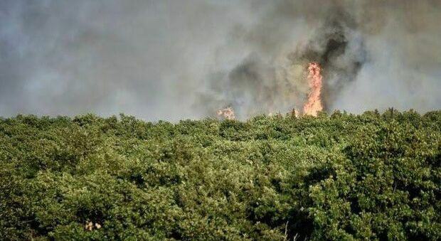 La Puglia brucia: cinque incendi, dopo due giorni le fiamme non si placano. Non si esclude la matrice dolosa
