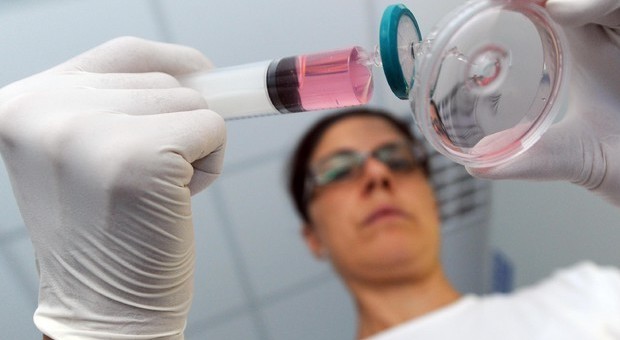 Vaccino anti-colesterolo, al via un test in Gran Bretagna: «Due iniezioni l'anno»