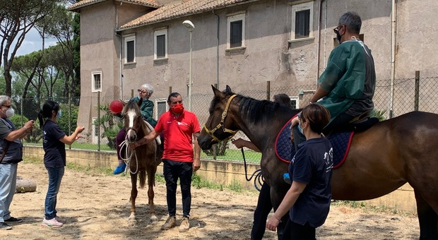 Long Covid, a Roma il primo ospedale con maneggio per la cura dei pazienti: ecco come sconfiggerlo con i cavalli