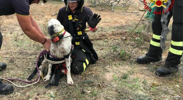 Lecce, cane cade in un pozzo: salvato dai vigili del fuoco