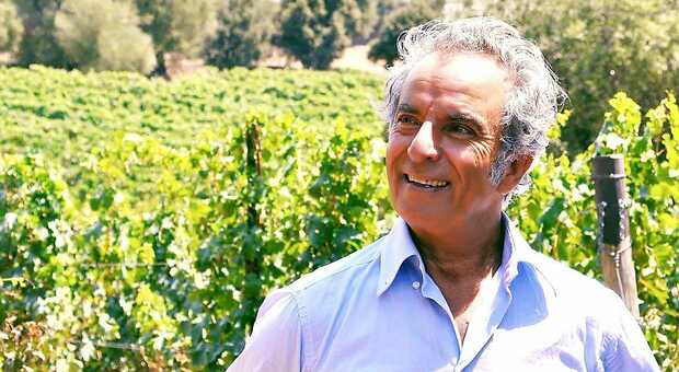 Bianco e Ottavianello: i vini doc Ostuni compiono 50 anni