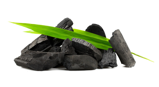 Energia, anche il carbone diventa green: basta stoccarlo. Ecco il piano studiato dall'Enea