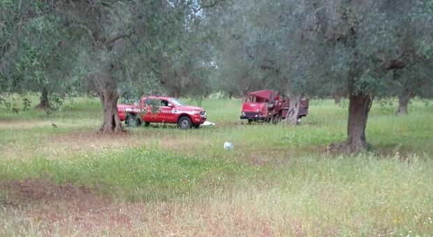 Incidente, camion contro un albero: morto sul colpo