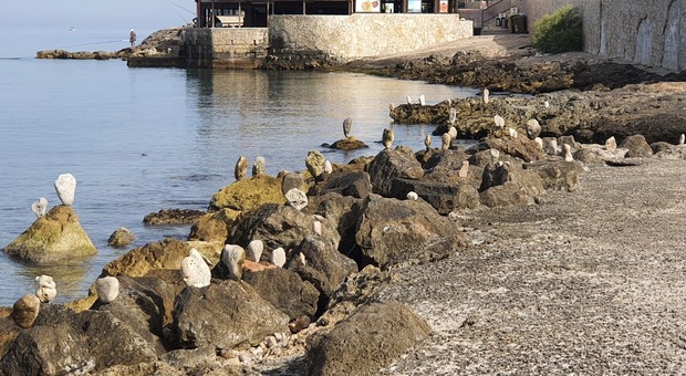 Salento, il mistero delle sculture sul mare: decine di pietre in equilibrio punteggiano la costa