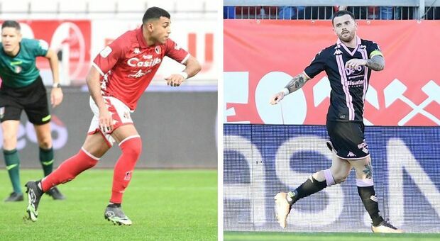 Palermo-Bari è Brunori contro Cheddira: la sfida tra i re dei bomber in Serie B. Il confronto