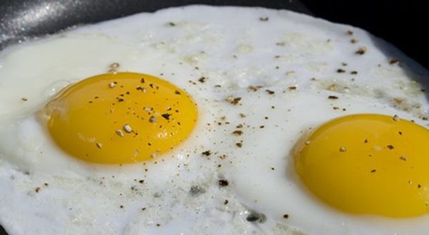 Uova pericolose per la salute: allerta colesterolo per il cuore, ombre da nuovo studio