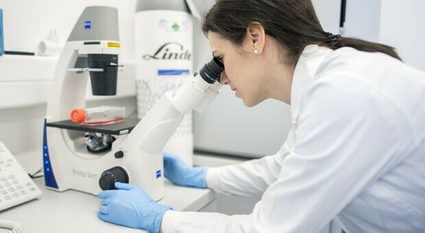 Leucemia, una speranza per la cura: nuova potenziale terapia con le nanoparticelle