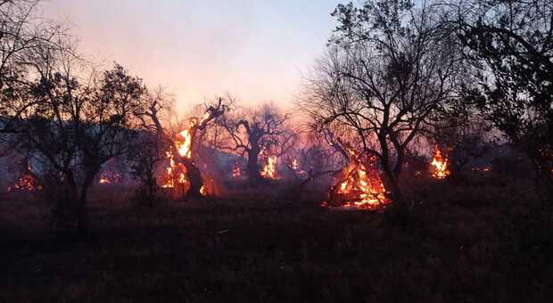 Salento, brucia la Serra dei Cianci nella zona di Alessano