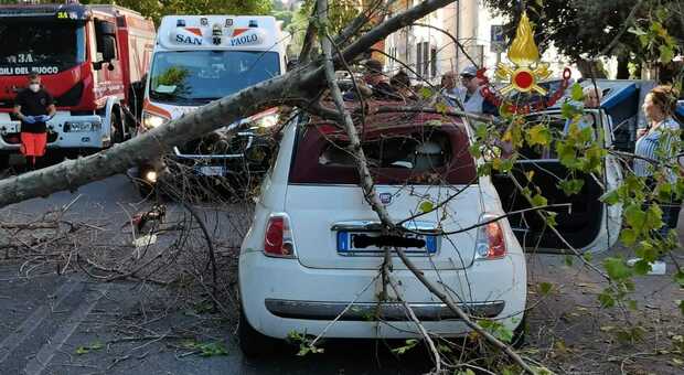 il crollo dell'albero su un'auto a Roma