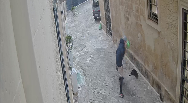 Gatto ucciso a calci e bastonate: espulso dall'Italia il 40enne responsabile della feroce aggressione in centro, a Lecce