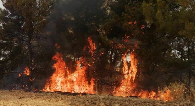 Due incendi nel basso Salento: la Puglia torna a bruciare