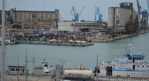 Tragedia al porto di Ancona. Marittimo stroncato da un infarto