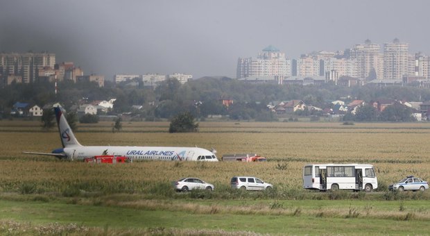 Atterraggio d'emergenza in Russia, aereo si scontra contro stormo di gabbiani: 23 feriti, 9 sono bambini
