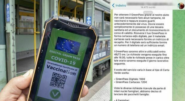 Green Pass falsi venduti online, la truffa su Telegram: 100 euro a certificato e pacchetti familiari