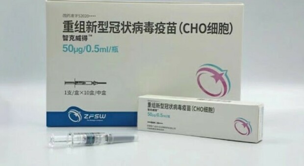 Vaccino, dalla Cina arriva lo Zhifei: «Blocca tutte le varianti, ma servono tre dosi»