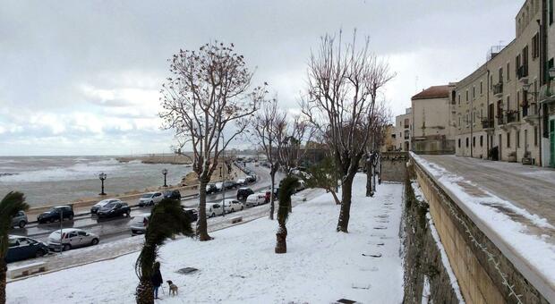 In Puglia arriva il freddo dalla Russia: scendono le temperature e in pianura potrebbe arrivare la neve. Le previsioni meteo