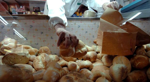 Guerra in Ucraina, la rivolta del pane: i fornai della Puglia in crisi