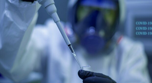 Covid, l'Australia prepara un nuovo vaccino: «Si adatterà a tutte le nuove varianti»